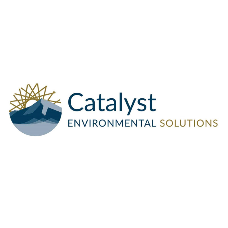 Catalyst Environmental Solutions
